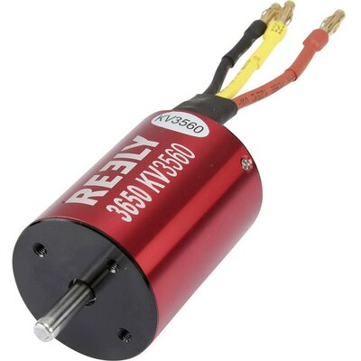 Brushless motor, Reely KV3560