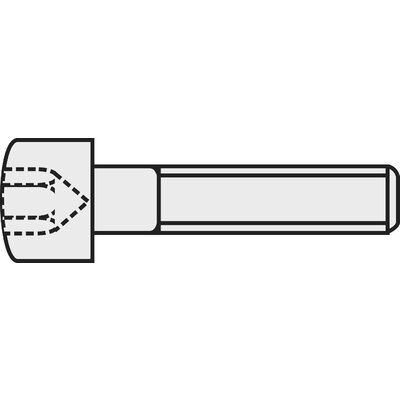 Toolcraft belső kulcsnyílású csavar M2,5 x 12 mm, 20 db, fekete, DIN 912 839665