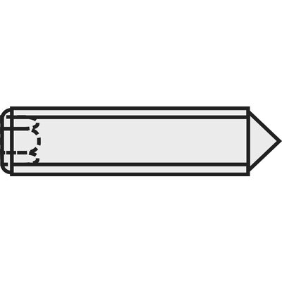 Toolcraft belső kulcsnyílású hernyócsavar, M2,5 x 5 mm, DIN 916, fekete, 20 db 839846