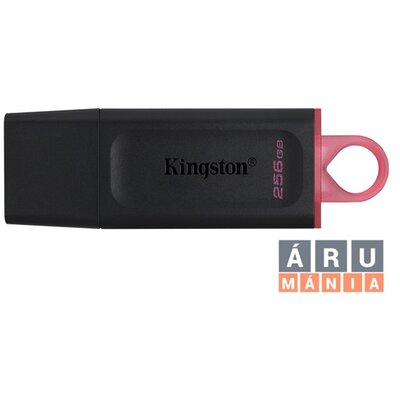 Kingston 256GB USB3.2 DataTraveler Exodia (DTX/256GB) Flash Drive