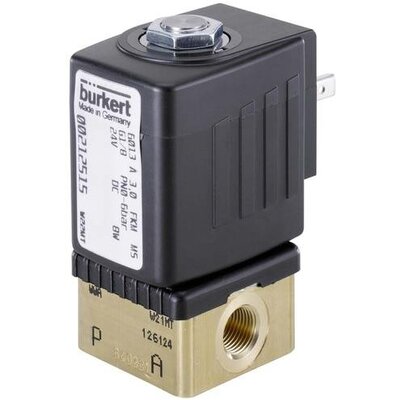 Bürkert Közvetlen vezérlésű szelep 209270 6013 24 V/DC G 1/8 hüvely Névleges távolság 2.5 mm 1 db