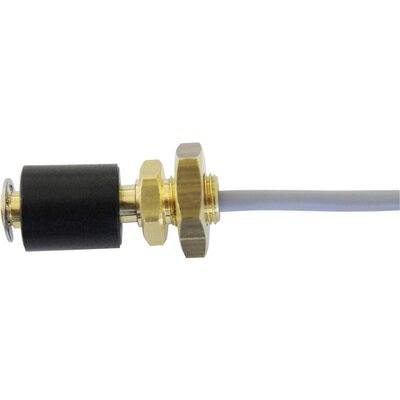 REED Electronics úszókapcsoló R1/8&quot -MO/S-L30-BU16-1mPVC 10W