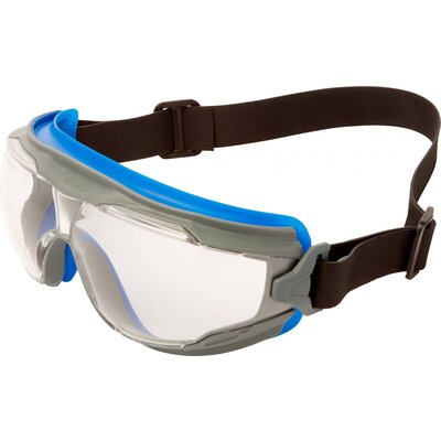 3M Goggle Gear 500 GG501NSGAF-BLU Teljes védőszemüveg Párásodás mentes Kék, Szürke EN 166 DIN 166