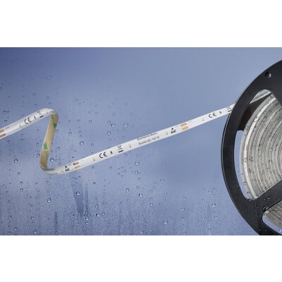 Barthelme Basic 51540433 51540433 LED csík Nyílt kábelvég 12 V 5 m Semleges fehér 1 db