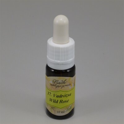 Bach virágeszencia vadrózsa 10 ml