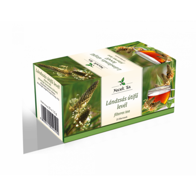 Mecsek lándzsás útifű levél tea 25x1,5g 37 g