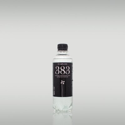 383 the kopjary water szén-dioxiddal dúsított ásványvíz 383 ml