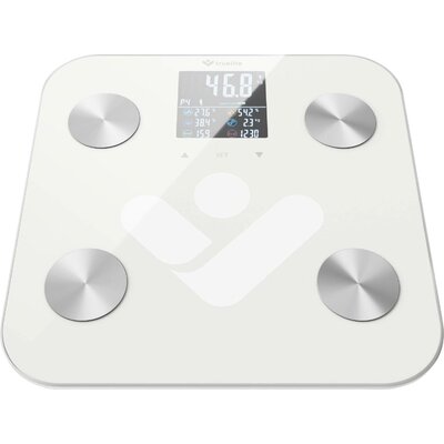 truelife FitScale W6 BT Digitális személymérleg Mérési tartomány (max.)=180 kg Fehér, Szürke Bluetooth-szal