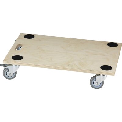 dörner + helmer 290705 Atlas Economy Roller Terhelés (max.): 300 kg 590 mm x 390 mm x 120 mm