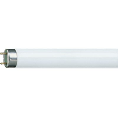 Fénycső, energiatakarékos fényforrás, G13, 58 W, nappalifény fehér, cső forma, Osram Master TL-D Super80 4050300517957